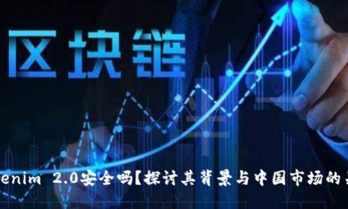 Tokenim 2.0安全吗？探讨其背景与中国市场的关系