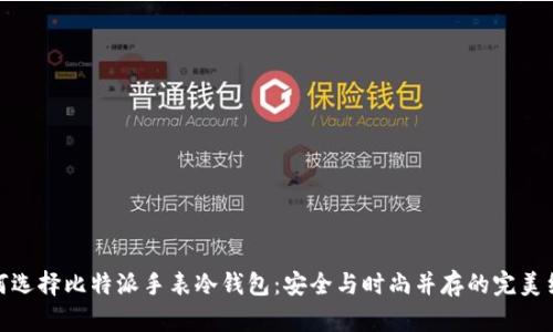 如何选择比特派手表冷钱包：安全与时尚并存的完美结合