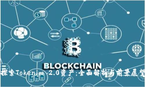 探索Tokenim 2.0资产：全面解析与前景展望