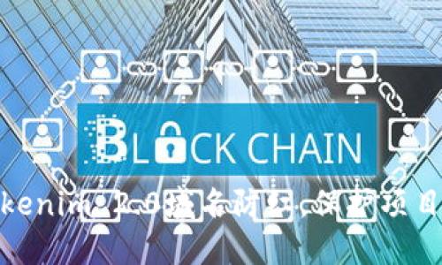 如何实现Tokenim 2.0域名防红，保护项目安全与稳定