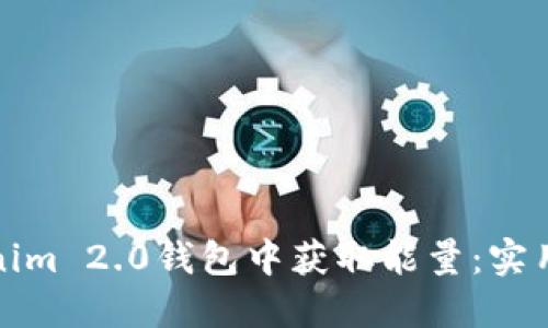 如何在Tokenim 2.0钱包中获取能量：实用指南与技巧