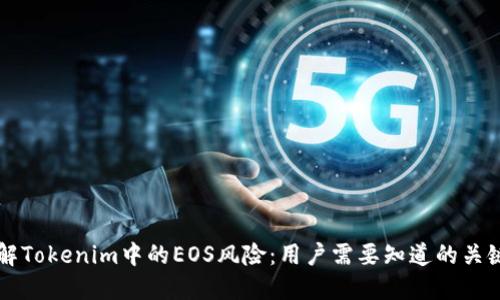 理解Tokenim中的EOS风险：用户需要知道的关键点