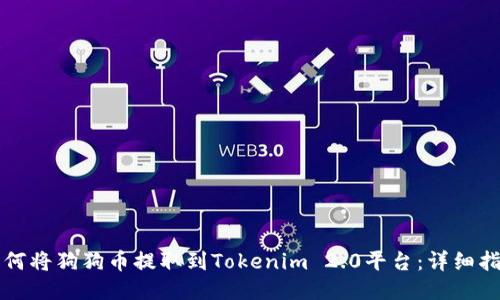 如何将狗狗币提取到Tokenim 2.0平台：详细指南