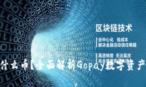 Gopay钱包是什么币？全面解析Gopay数字资产的应用与前景