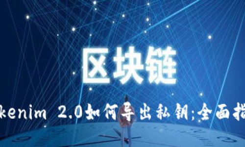Tokenim 2.0如何导出私钥：全面指南