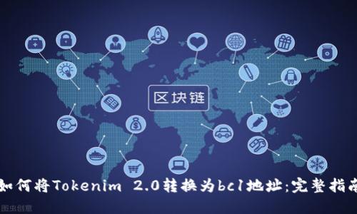 如何将Tokenim 2.0转换为bc1地址：完整指南