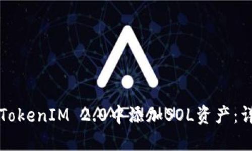 如何在TokenIM 2.0中添加SOL资产：详细指南