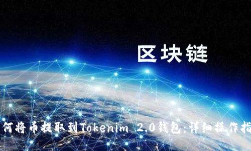 如何将币提取到Tokenim 2.0钱包：详细操作指南