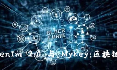 深入解读 TokenIm 2.0 与 MyKey：区块链的未来与应用